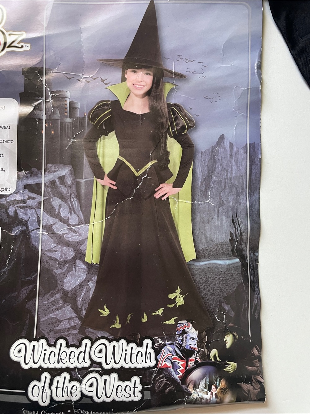 Rubies  Small  4-6  Kids Wicked Witch of the West Kids  Halloween Costume